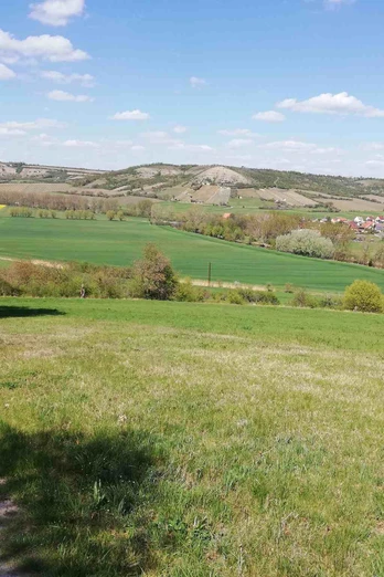 blick_weischuetz_nuessenberg