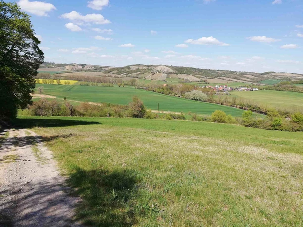 blick_weischuetz_nuessenberg