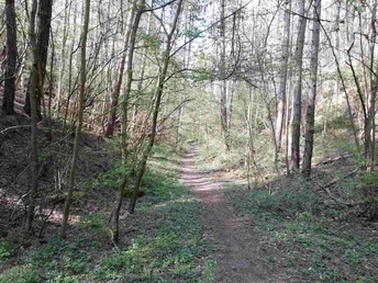 weg-zur-drachenschlucht