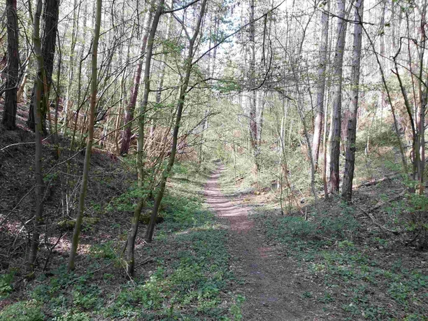 weg-zur-drachenschlucht