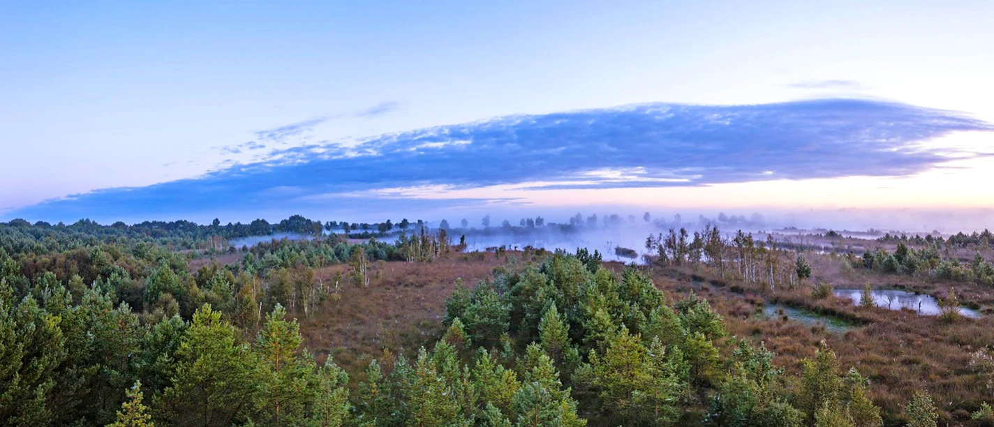Weiter Blick über das vernebelte Huvenhoopsmoor Weiter Blick über das vernebelte Huvenhoopsmoor