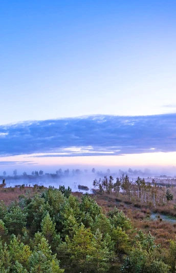 Weiter Blick über das vernebelte Huvenhoopsmoor Weiter Blick über das vernebelte HuvenhoopsmoorWide view over the foggy HuvenhoopsmoorVid udsigt over det tågede HuvenhoopsmoorWeids uitzicht over het mistige Huvenhoopsmoor