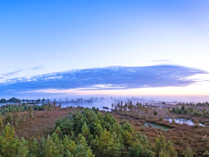 Weiter Blick über das vernebelte Huvenhoopsmoor Weiter Blick über das vernebelte HuvenhoopsmoorWide view over the foggy HuvenhoopsmoorVid udsigt over det tågede HuvenhoopsmoorWeids uitzicht over het mistige Huvenhoopsmoor