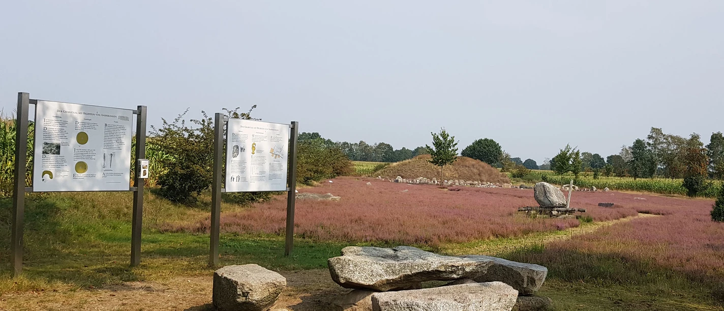 Hügelgrabanlage in Anderlingen mit Infotafeln Hügelgrabanlage in Anderlingen mit Infotafeln