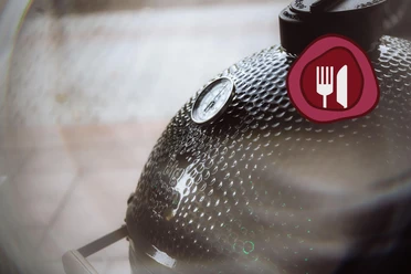 Big Green Egg Grill