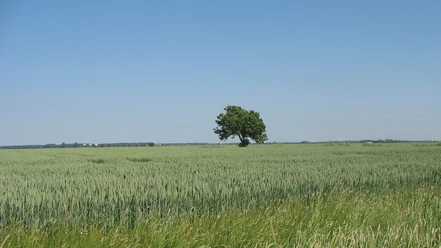 Landschaftliche Vielfalt zwischen Rotenburg und Scheeßel Landschaftliche Vielfalt zwischen Rotenburg und Scheeßel