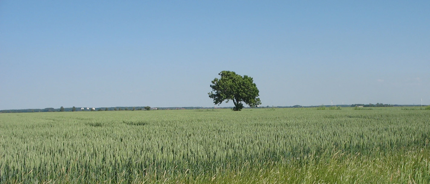 Landschaftliche Vielfalt zwischen Rotenburg und Scheeßel Landschaftliche Vielfalt zwischen Rotenburg und Scheeßel