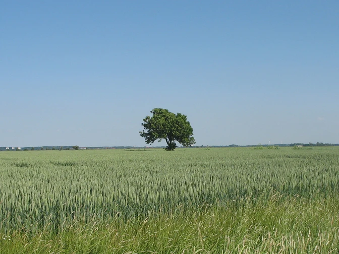 Landschaftliche Vielfalt zwischen Rotenburg und Scheeßel Landschaftliche Vielfalt zwischen Rotenburg und ScheeßelLandscape diversity between Rotenburg and ScheeßelLandskabets mangfoldighed mellem Rotenburg og ScheeßelLandschapsdiversiteit tussen Rotenburg en Scheeßel