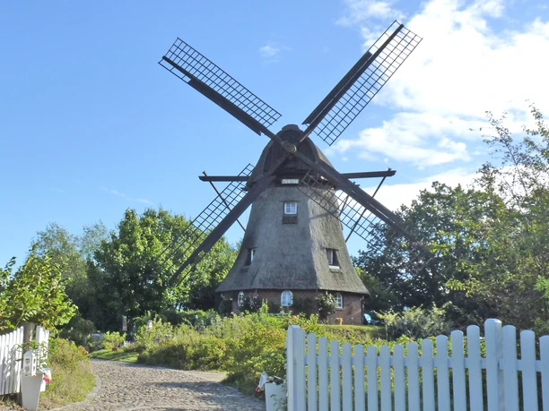 Frontalansicht der Holländerwindmühle "Sabine" in Sandbostel Frontalansicht der Holländerwindmühle "Sabine" in Sandbostel