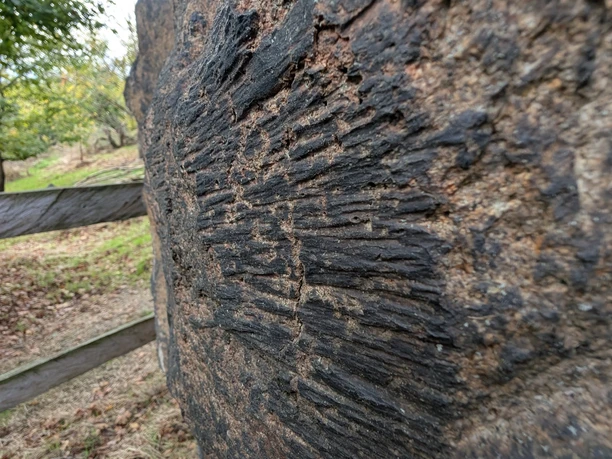 Nationales Geotop Windschliffe auf dem Kleinen Berg Hohburg - Detailaufnahme Nationales Geotop Windschliffe auf dem Kleinen Berg Hohburg - Detailaufnahme