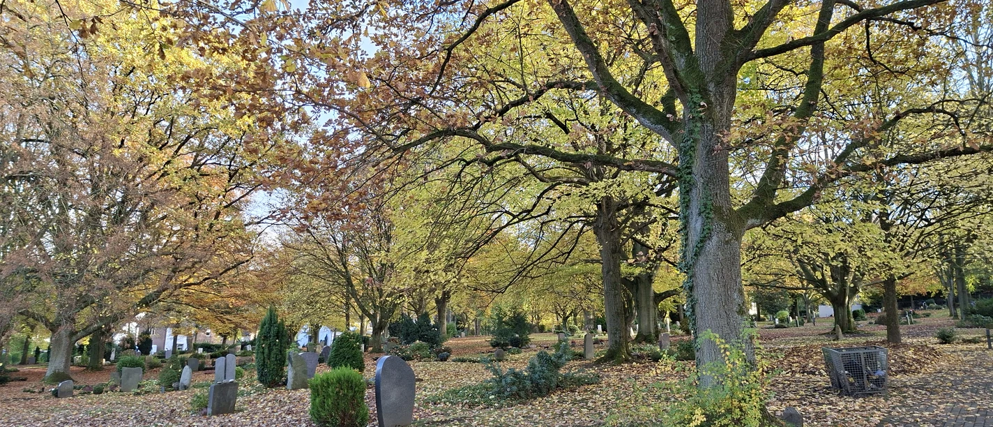 Herbststimmung auf dem Lübbecker Friedhof Herbststimmung auf dem Lübbecker Friedhof
