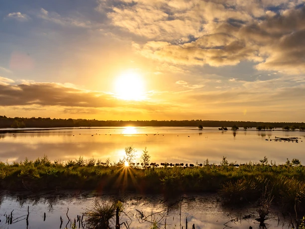 Abendstimmung über den Wasserflächen des Hochmoores Abendstimmung über den Wasserflächen des Hochmoores