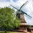 Außenansicht der Windmühle "Henriette" Elm mit Baum Außenansicht der Windmühle "Henriette" Elm mit Baum
