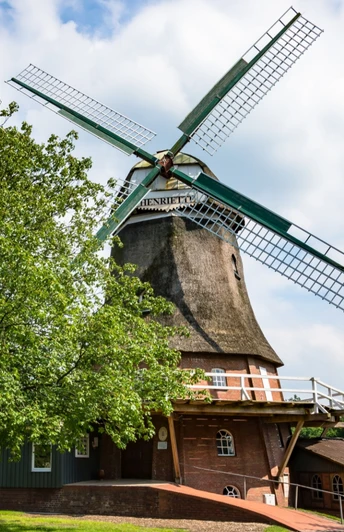 Außenansicht der Windmühle "Henriette" Elm mit Baum Außenansicht der Windmühle "Henriette" Elm mit Baum
