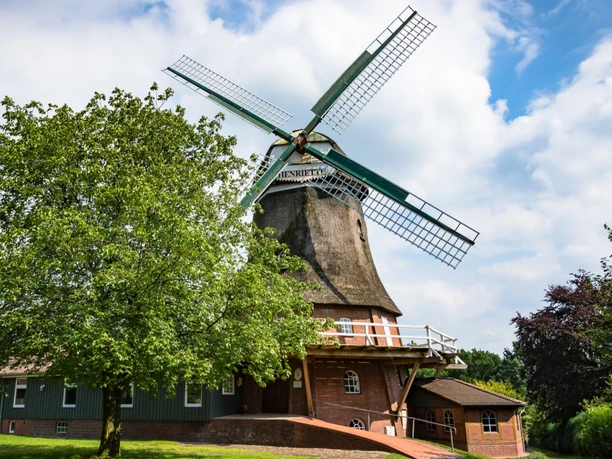 Außenansicht der Windmühle "Henriette" Elm mit Baum Außenansicht der Windmühle "Henriette" Elm mit Baum