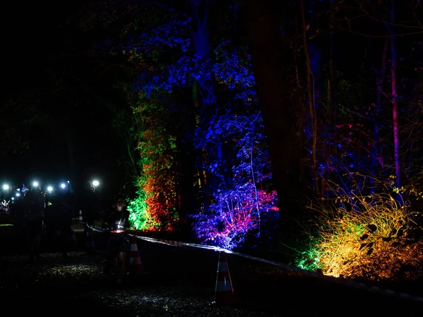 Sparda-Bank Halloween-Run Köln Nächtliche Halloween-Laufstrecke im Wald mit Stirnlampen und bunten Lichtakzenten