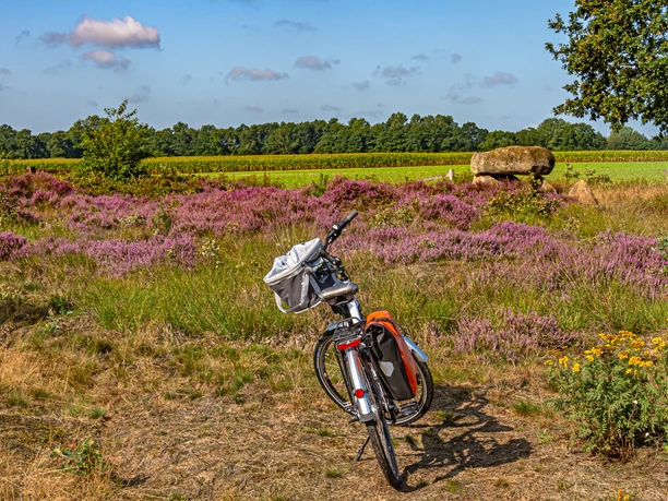 Ein abgestelltes Fahrrad in der Steinalkenheide Ein abgestelltes Fahrrad in der Steinalkenheide