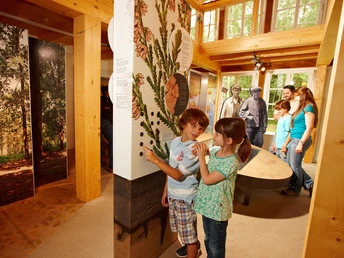 Der Natur auf der Spur im Heide-ErlebnisZentrum in Undeloh Der Natur auf der Spur im Heide-ErlebnisZentrum in Undeloh