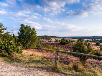 Ausblick vom Wilseder Berg in der Lüneburger Heide Ausblick vom Wilseder Berg in der Lüneburger HeideView from Wilseder Berg in the Lüneburg HeathUdsigt fra Wilseder Berg i Lüneburger HeideUitzicht vanaf de Wilseder Berg in de Lüneburger Heide
