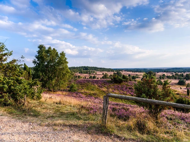 Ausblick vom Wilseder Berg in der Lüneburger Heide Ausblick vom Wilseder Berg in der Lüneburger Heide