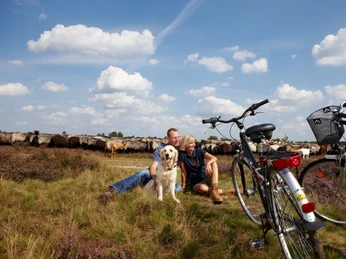 Radlerpause inmitten der Lüneburger Heide Radlerpause inmitten der Lüneburger HeideCycling break in the middle of the Lüneburg HeathCykelpause midt i Lüneburger HeideFietspauze midden op de Lüneburger Heide