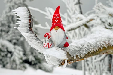 Christmas | Sample Image