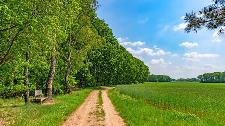 Holzbank an einem Feldweg des NORDPFADES Riepholm-Gilkenheide Holzbank an einem Feldweg des NORDPFADES Riepholm-Gilkenheide