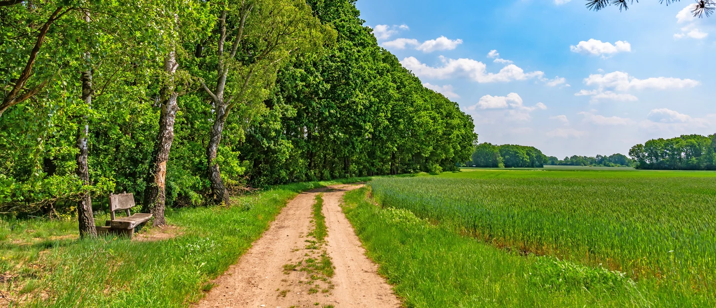 Holzbank an einem Feldweg des NORDPFADES Riepholm-Gilkenheide Holzbank an einem Feldweg des NORDPFADES Riepholm-Gilkenheide