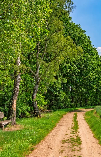 Holzbank an einem Feldweg des NORDPFADES Riepholm-Gilkenheide Holzbank an einem Feldweg des NORDPFADES Riepholm-Gilkenheide
