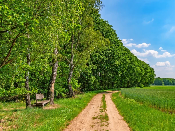 Holzbank an einem Feldweg des NORDPFADES Riepholm-Gilkenheide Holzbank an einem Feldweg des NORDPFADES Riepholm-Gilkenheide