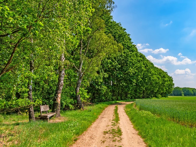 Holzbank an einem Feldweg des NORDPFADES Riepholm-Gilkenheide Holzbank an einem Feldweg des NORDPFADES Riepholm-GilkenheideWooden bench on a field path of the NORDPFAD Riepholm-GilkenheideTræbænk på en markvej i NORDPFAD Riepholm-GilkenheideHouten bank op een veldweg van de NORDPFAD Riepholm-Gilkenheide