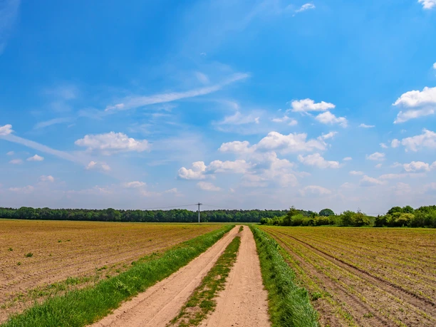 Sandweg mit endloser Weite bei Visselhövede Sandweg mit endloser Weite bei Visselhövede