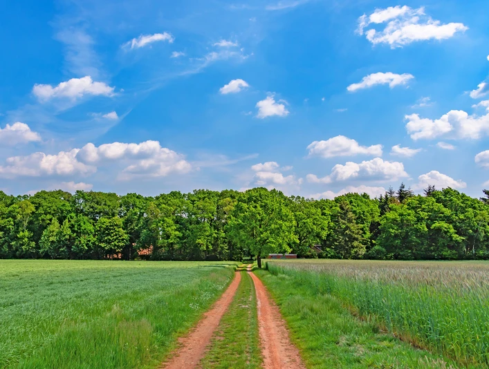 Feldweg in Richtung Delventhal Feldweg in Richtung DelventhalField path in the direction of DelventhalMarkvej i retning af DelventhalVeldweg in de richting van Delventhal