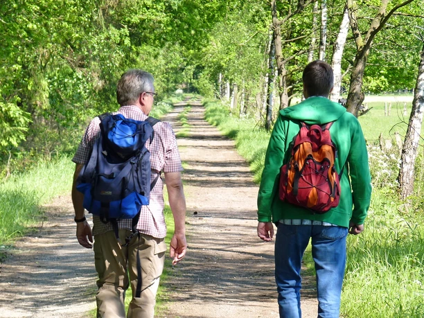 Auf einem Feldweg entlang zum Landeswald Schierk Auf einem Feldweg entlang zum Landeswald Schierk
