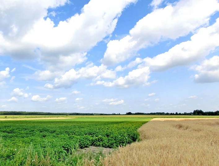 Weite Felder rund um Nartum Weite Felder rund um NartumWide fields around NartumBrede marker omkring NartumWeidse velden rond Nartum