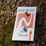 Markierungszeichen des NORDPFADES Börde Sittensen Markierungszeichen des NORDPFADES Börde Sittensen