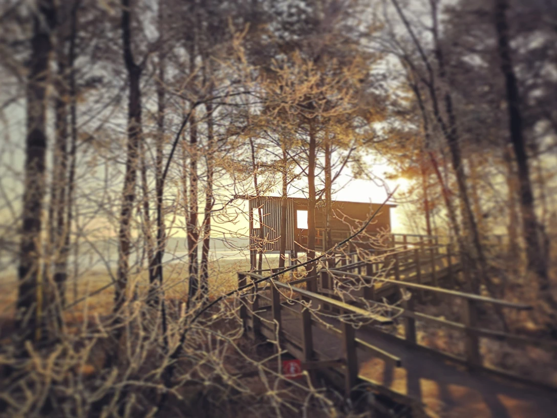 Einer von zwei Beobachtungstürmen im Tister Bauernmoor Einer von zwei Beobachtungstürmen im Tister BauernmoorOne of two observation towers in the Tister BauernmoorEt af to udsigtstårne i Tister BauernmoorEen van de twee uitkijktorens in het Tister Bauernmoor