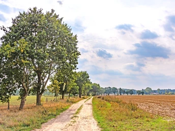 Weite Landschaft auf dem Weg zum Waldgebiet Hohe Buchen Weite Landschaft auf dem Weg zum Waldgebiet Hohe Buchen