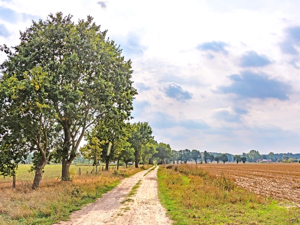 Weite Landschaft auf dem Weg zum Waldgebiet Hohe Buchen Weite Landschaft auf dem Weg zum Waldgebiet Hohe Buchen