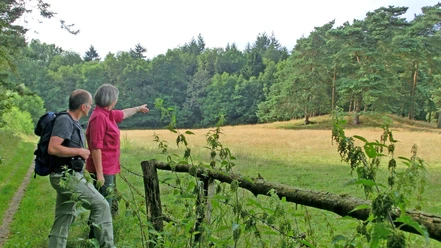 Der Grabhügel am Kuhbachtal Der Grabhügel am Kuhbachtal