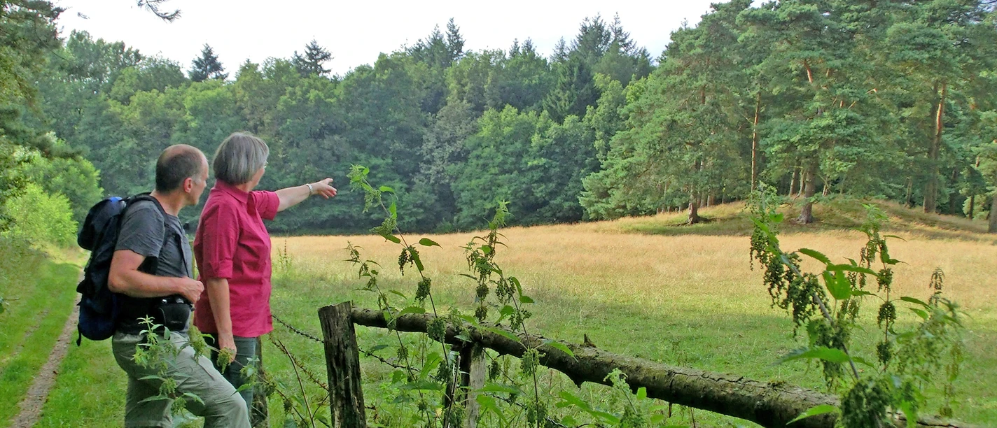 Der Grabhügel am Kuhbachtal Der Grabhügel am Kuhbachtal
