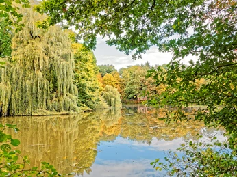 Traumidylle im Erholungsgebiet Kuhmühlen Traumidylle im Erholungsgebiet KuhmühlenDream idyll in the Kuhmühlen recreation areaDrømmeidyl i det rekreative område KuhmühlenDroomidylle in recreatiegebied Kuhmühlen