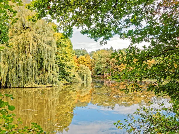 Traumidylle im Erholungsgebiet Kuhmühlen Traumidylle im Erholungsgebiet Kuhmühlen