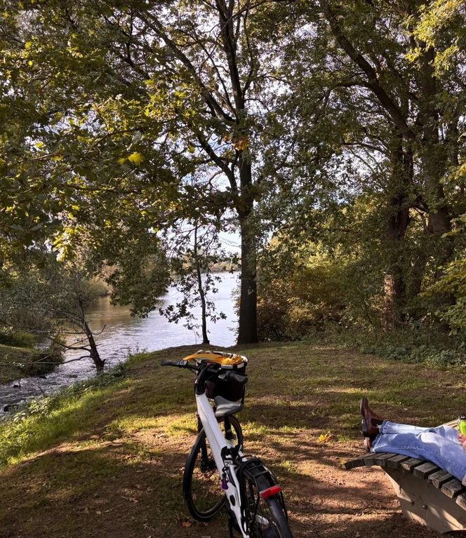 Nur langsam färbt sich die herbstliche Kulisse in diesem Jahr in Braun- und Orangetöne..JPEG Nur langsam färbt sich die herbstliche Kulisse in diesem Jahr in Braun- und Orangetöne..JPEG