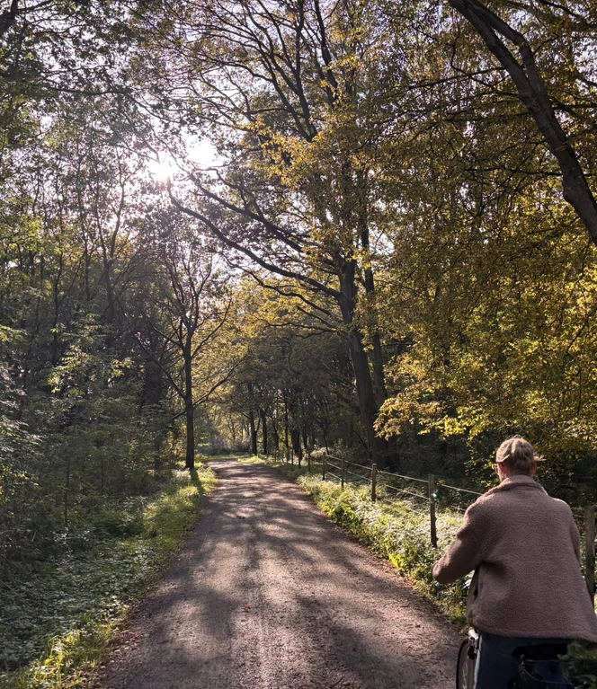 Ob per Rad oder auf Wanderwegen - der Naturpark Bourtanger Moor wird an zahlreichen Stationen erlebbar..JPEG Ob per Rad oder auf Wanderwegen - der Naturpark Bourtanger Moor wird an zahlreichen Stationen erlebbar..JPEG