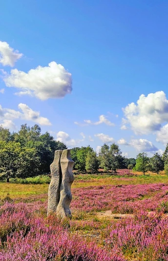 Die Vareler Heide mit Sandsteinskulptur zur Heideblüte Die Vareler Heide mit Sandsteinskulptur zur Heideblüte