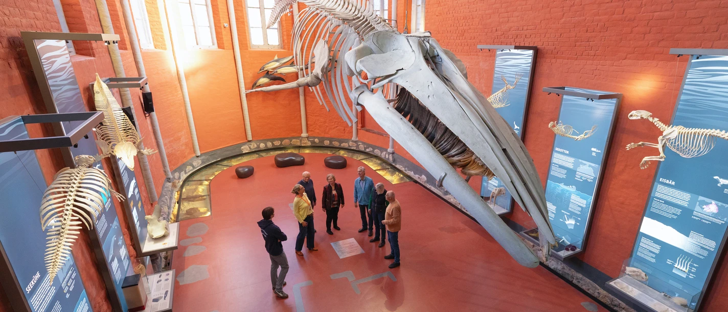 MEERESMUSEUM_Gruppe_Erwachsene_Fuehrung_1M1A2369_Foto_Anke_Neumeister_DMM MEERESMUSEUM_Gruppe_Erwachsene_Fuehrung_1M1A2369_Foto_Anke_Neumeister_DMM