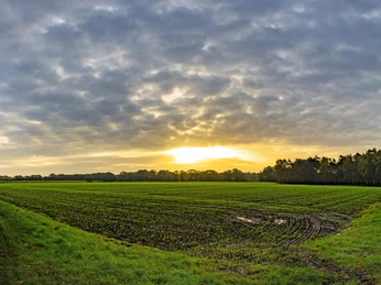 Landschaftspanorama bei Griemshoop Landschaftspanorama bei GriemshoopLandscape panorama near GriemshoopLandskabspanorama nær GriemshoopLandschapspanorama bij Griemshoop