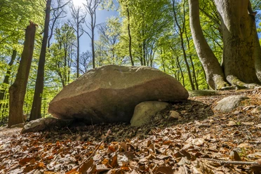 Teufels Backtrog in Belm-Vehrte