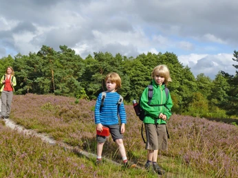 Klein und Groß im Naturschutzgebiet Wolfsgrund Klein und Groß im Naturschutzgebiet WolfsgrundYoung and old in the Wolfsgrund nature reserveUnge og gamle i naturreservatet WolfsgrundJong en oud in natuurgebied Wolfsgrund